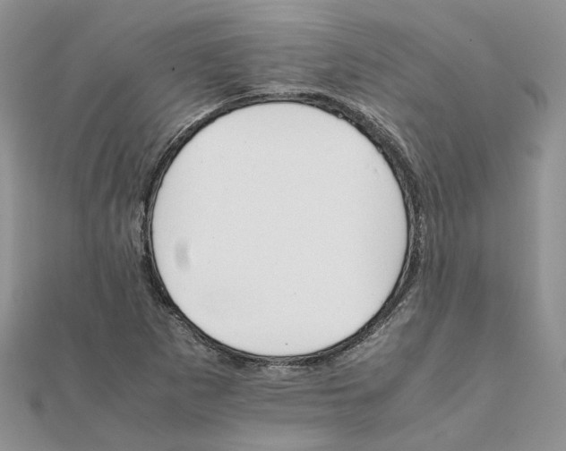 X0000111681265200907311212