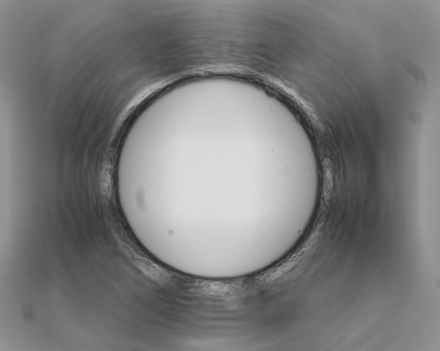 X0000111681266200907311212