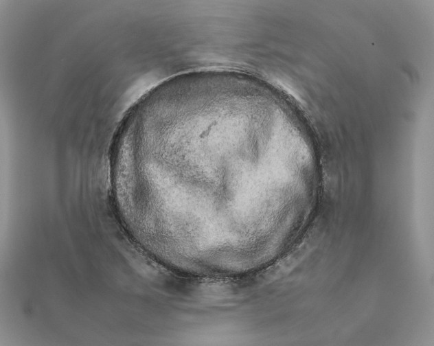 X0000111681267200907311212