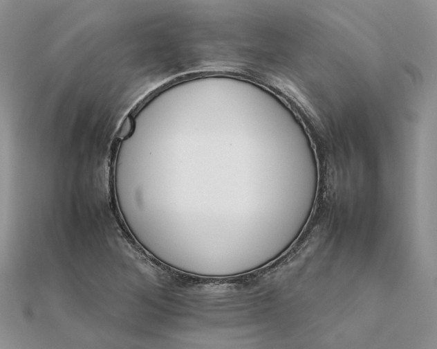 X0000111681268200907311212