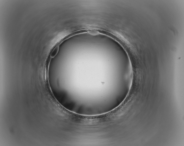 X0000111681269200907311212