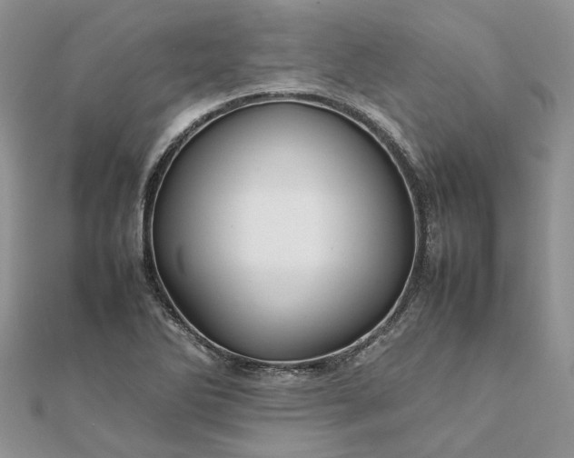 X0000111681270200907311212