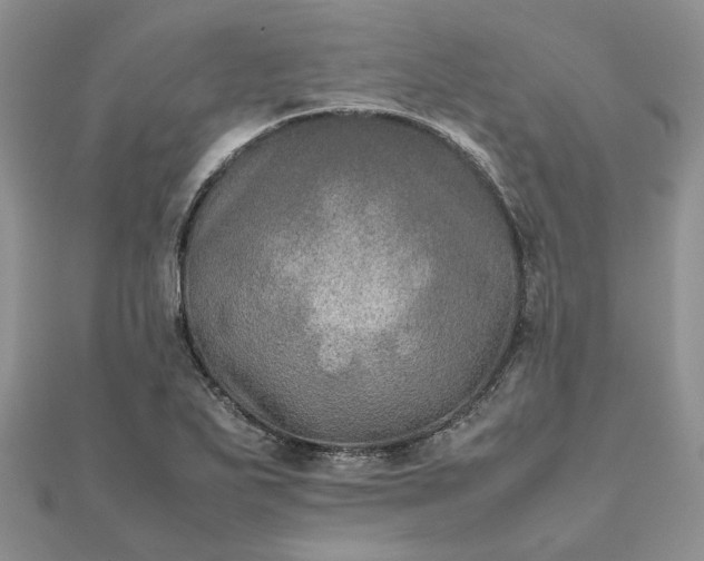 X0000111681271200907311212