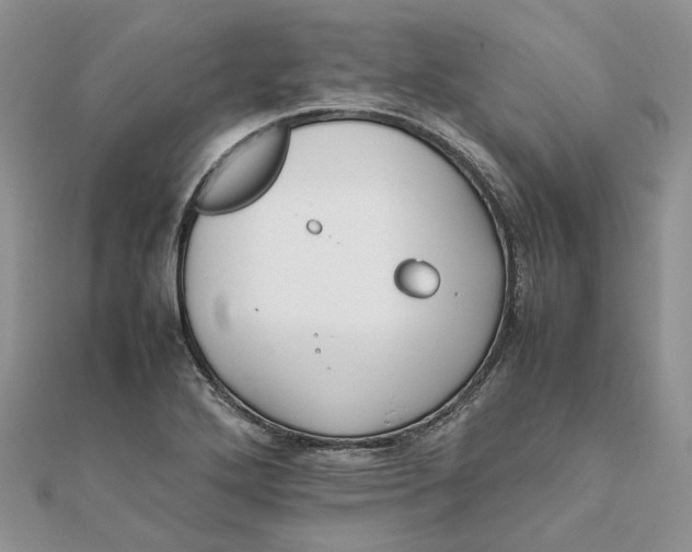 X0000111681272200907311212