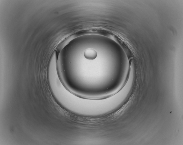 X0000111681273200907311212