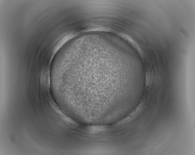 X0000111681274200907311212