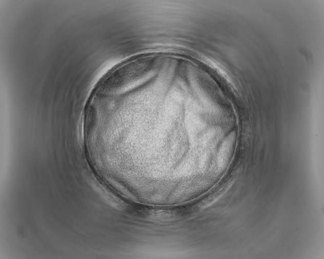 X0000111681275200907311212