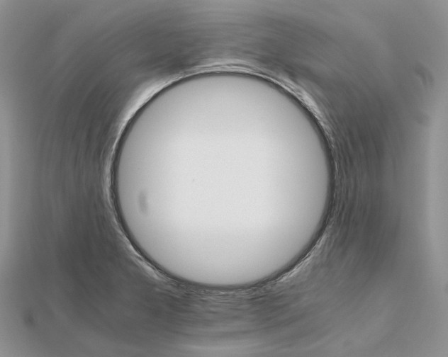 X0000111681277200907311212