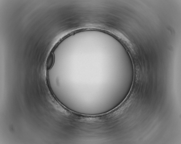 X0000111681280200907311212