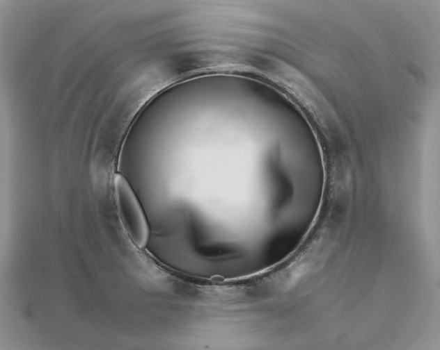 X0000111681281200907311212