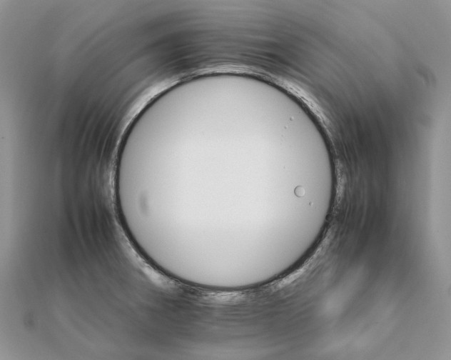 X0000111681282200907311212