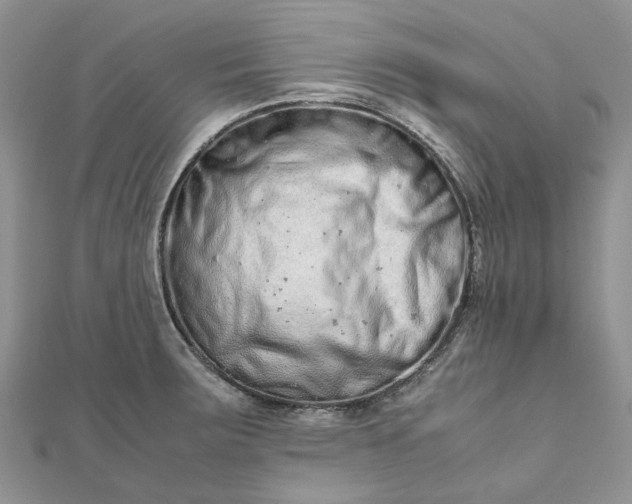 X0000111681283200907311212