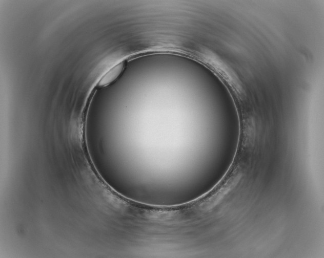 X0000111681284200907311212