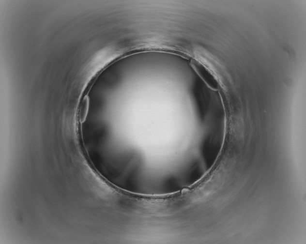 X0000111681285200907311212