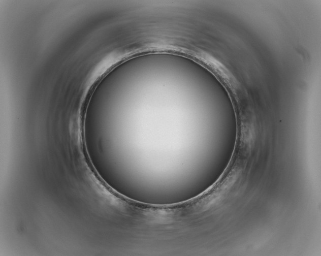 X0000111681286200907311212