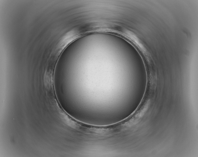 X0000111681289200907311212