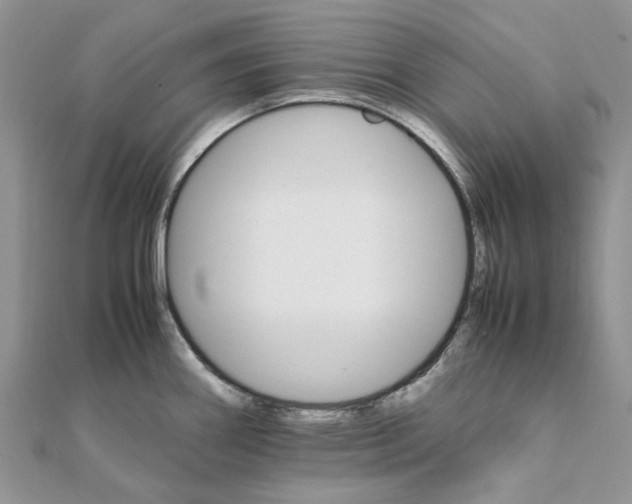 X0000111681290200907311212