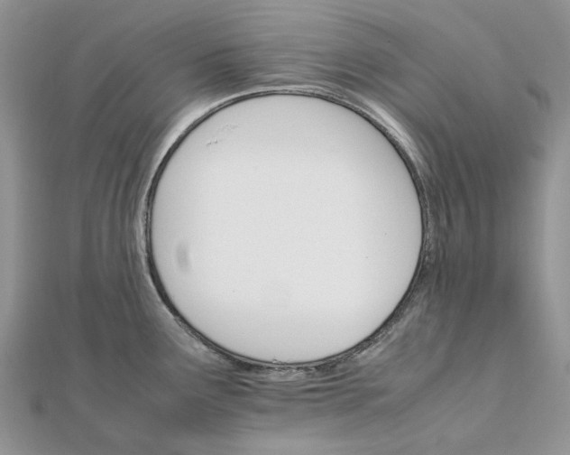 X0000111681291200907311212