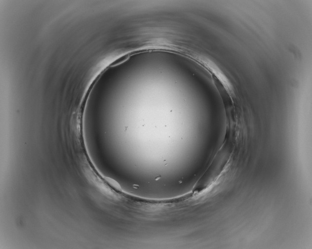 X0000111681292200907311212