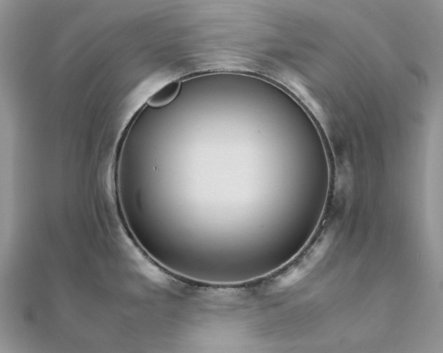 X0000111681293200907311212