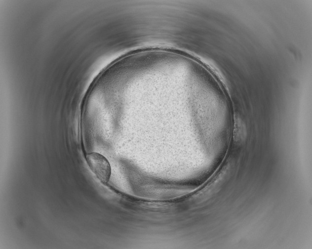 X0000111681295200907311212