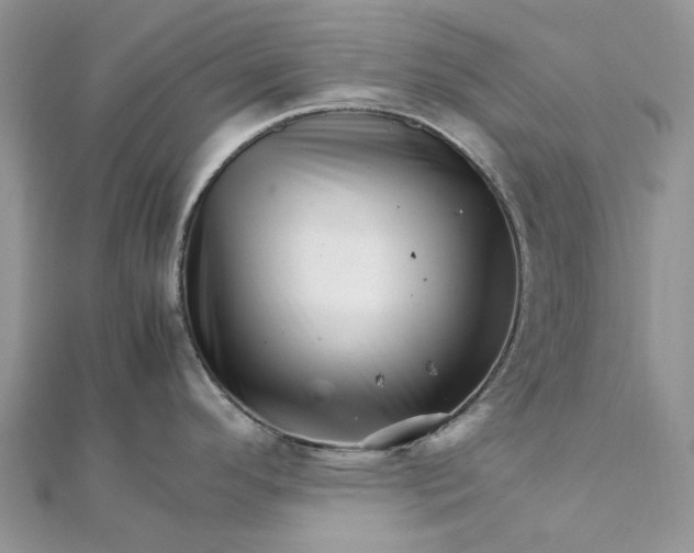 X0000111681296200907311212