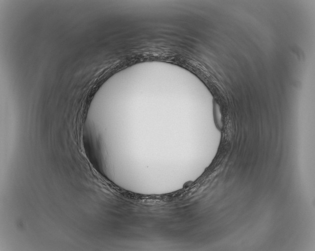 X0000111681297200907311211