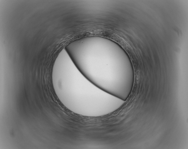 X0000111681298200907311211