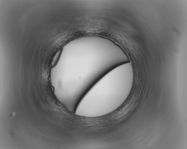 X0000111681300200907311211