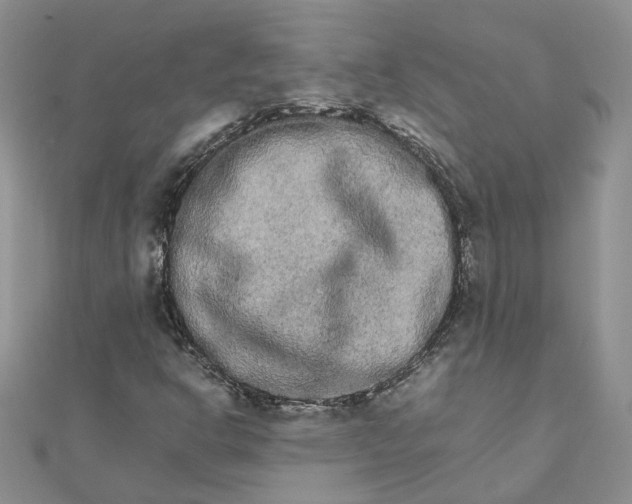 X0000111681302200907311211