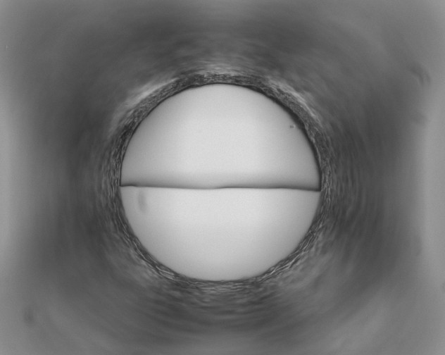 X0000111681303200907311211