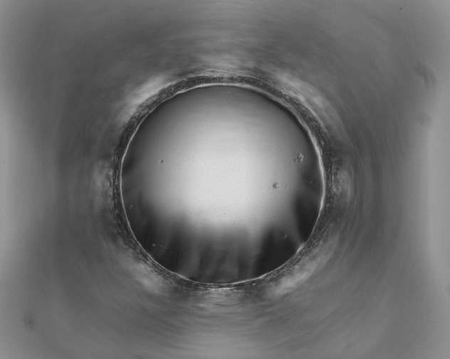 X0000111681304200907311211