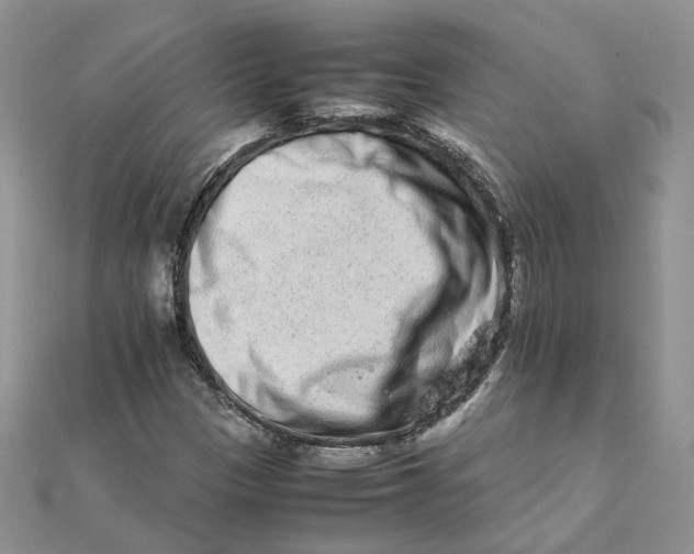 X0000111681305200907311211