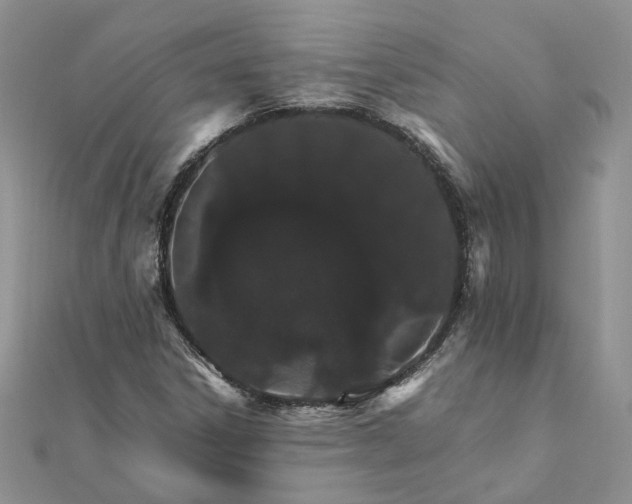 X0000111681306200907311211