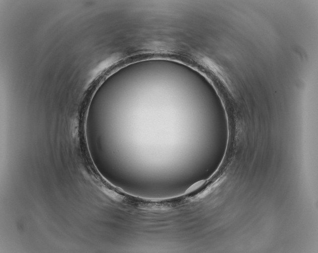 X0000111681307200907311211