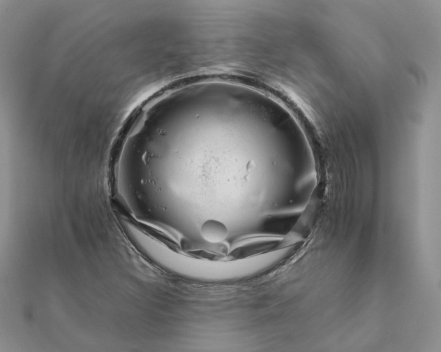 X0000111681308200907311211