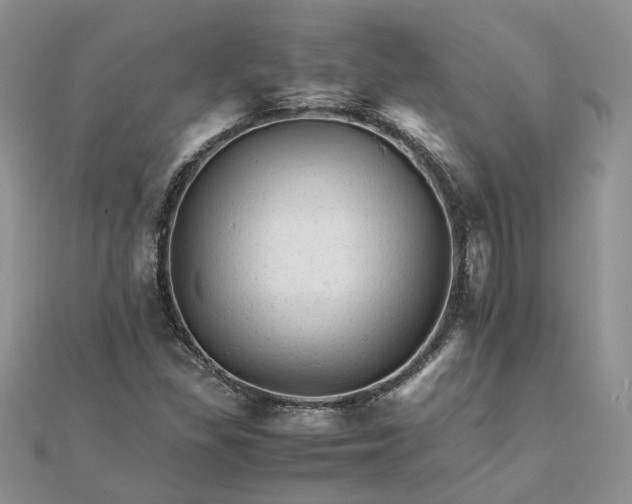 X0000111681309200907311211