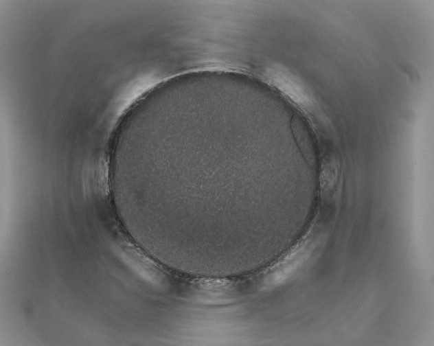 X0000111681310200907311211