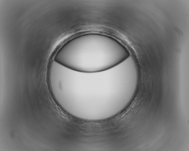 X0000111681312200907311211