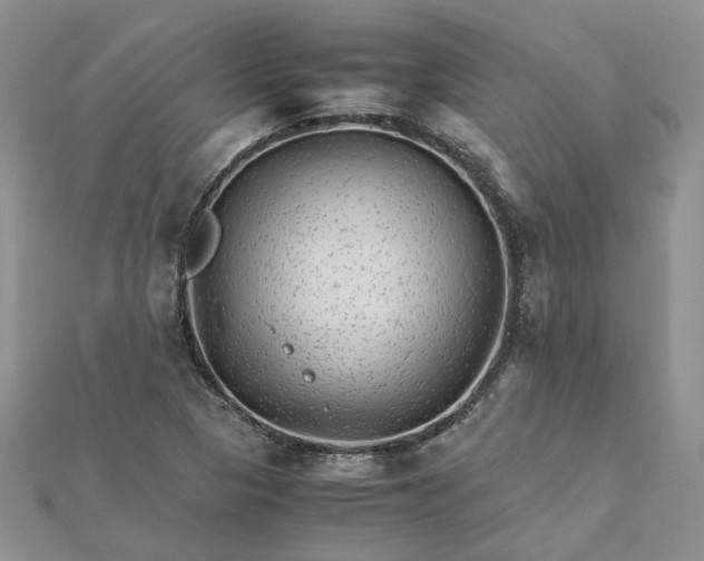 X0000111681313200907311211