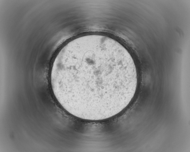 X0000111681314200907311211