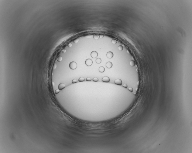 X0000111681315200907311211