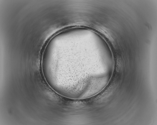 X0000111681316200907311211