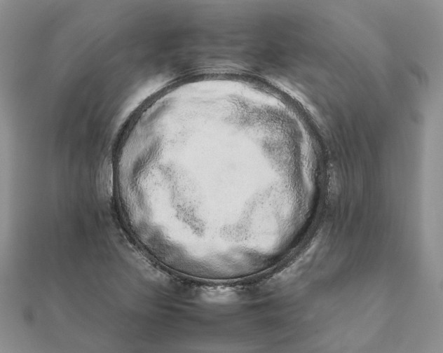 X0000111681317200907311211