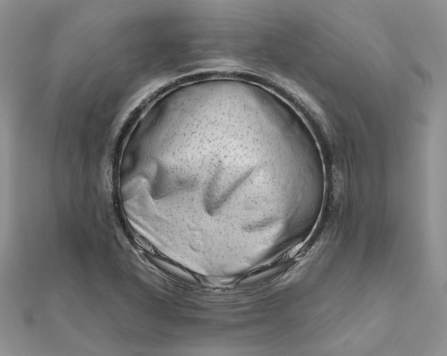 X0000111681318200907311211