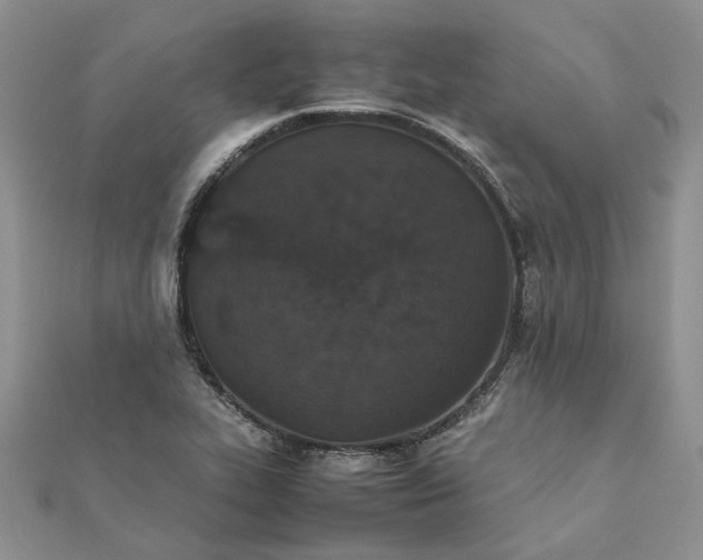 X0000111681319200907311211