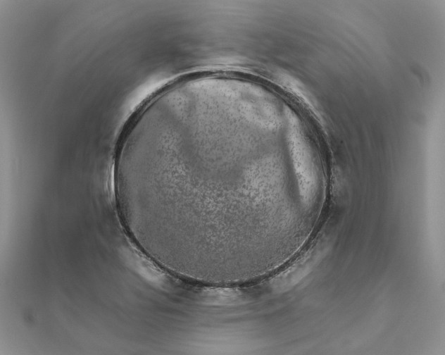 X0000111681320200907311211