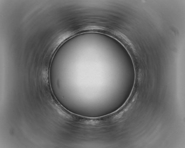 X0000111681321200907311211