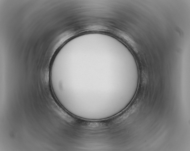 X0000111681322200907311211