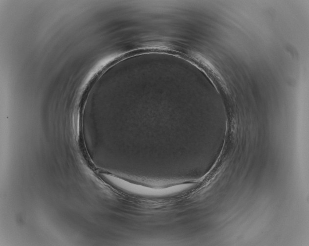 X0000111681323200907311211